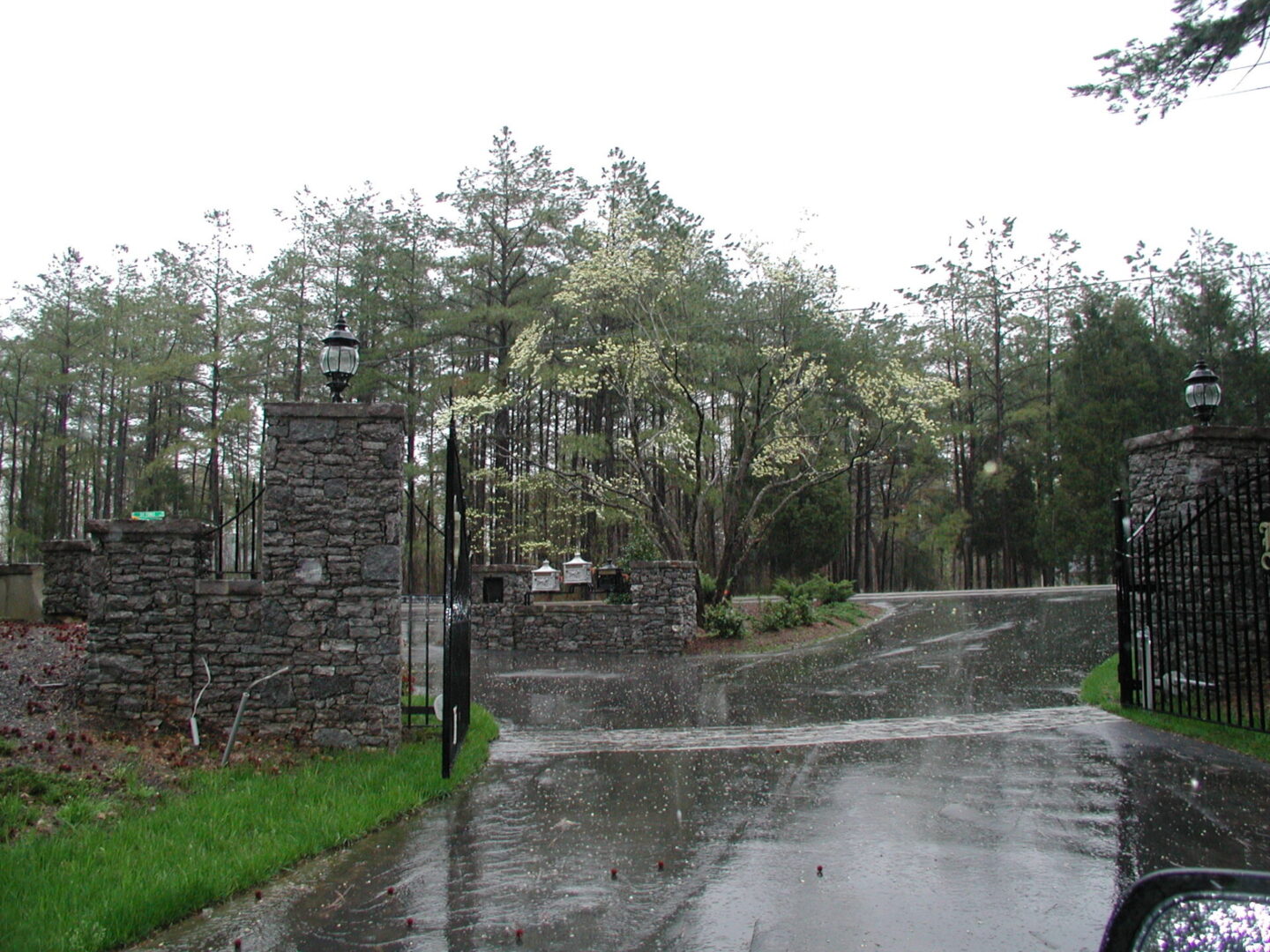 A road with trees and grass on both sides of it