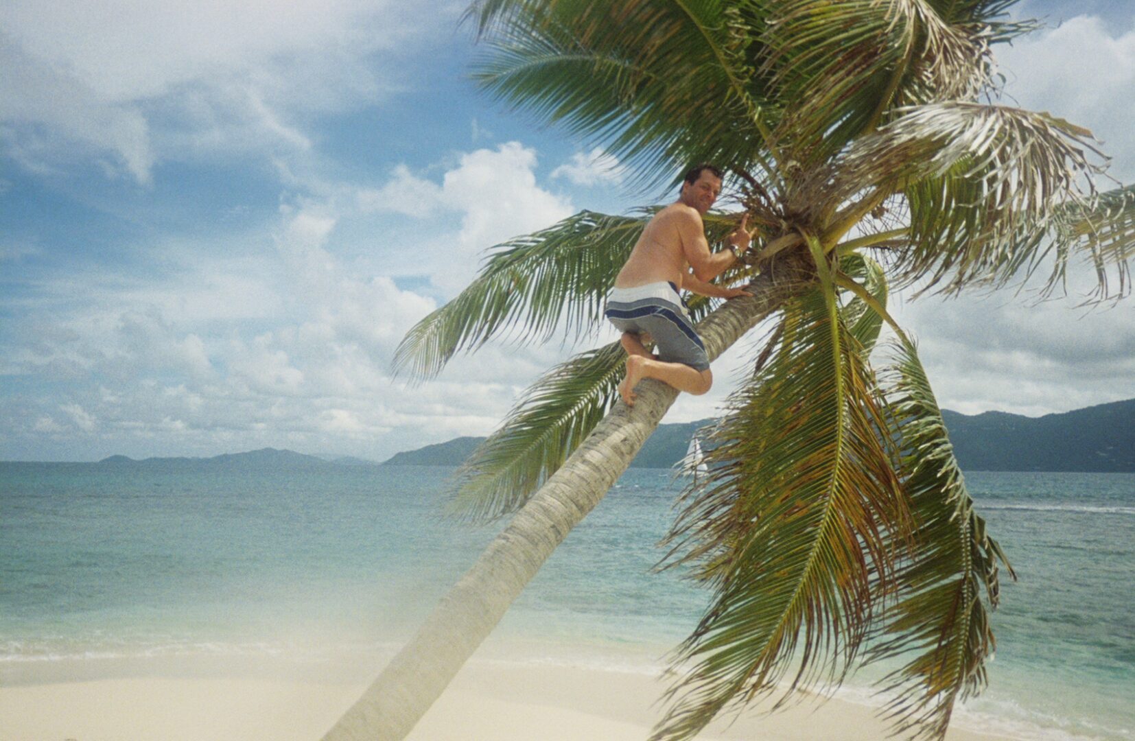 A man is hanging from the palm tree